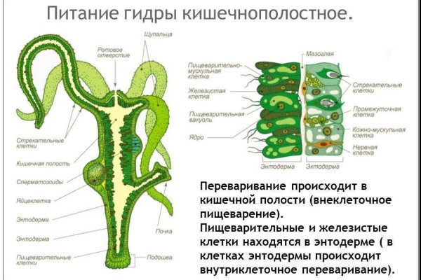 Kraken 16at сайт